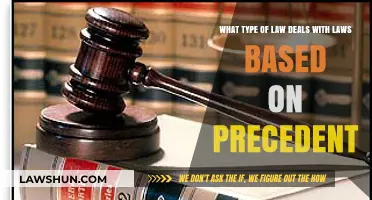 Understanding Precedent-Based Law: A Guide to Common Law Systems