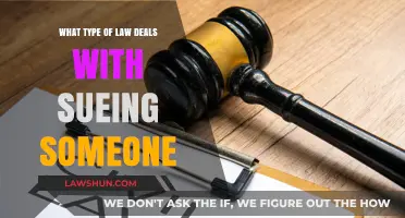 Understanding Civil Litigation: The Legal Process for Suing Someone Explained