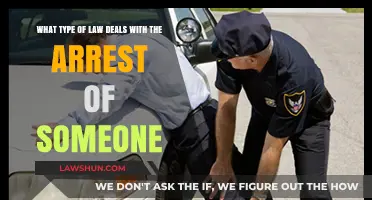 Understanding Criminal Law: Arrest Procedures and Legal Implications Explained
