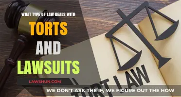 Understanding Tort Law: The Legal Framework for Civil Wrongs and Lawsuits