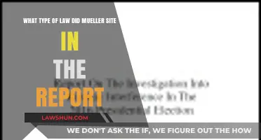 Mueller Report: Key Legal Citations and Their Implications Explained