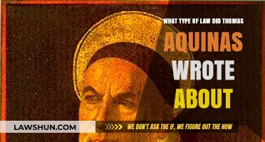 Thomas Aquinas' Legal Philosophy: Exploring His Contributions to Natural Law