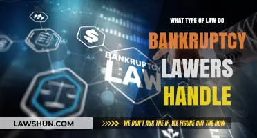 Understanding Bankruptcy Law: Cases and Issues Handled by Specialized Attorneys
