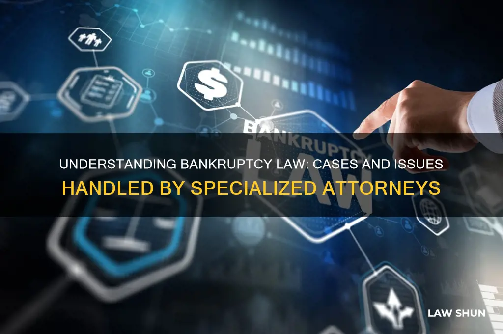 what type of law do bankruptcy lawers handle