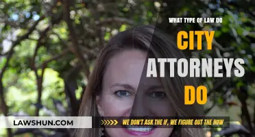 Understanding the Diverse Legal Roles of City Attorneys in Urban Governance