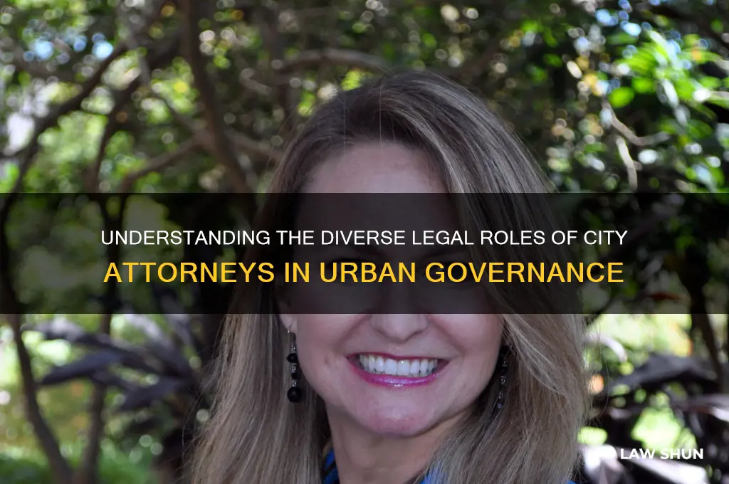 what type of law do city attorneys do
