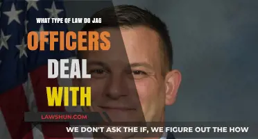 Understanding the Legal Scope: What Type of Law Do JAG Officers Handle?