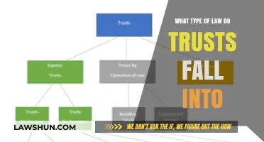 Understanding Trusts: Which Legal Category Do They Belong To?
