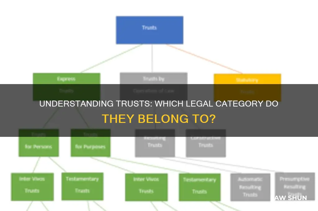 what type of law do trusts fall into