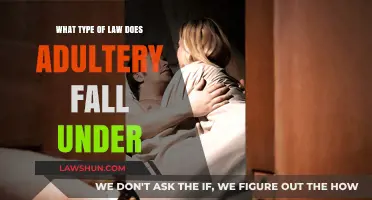 Adultery and the Law: Understanding Legal Implications and Consequences