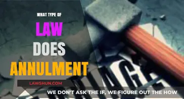 Understanding Annulment: Which Legal Category Governs Marriage Invalidations?