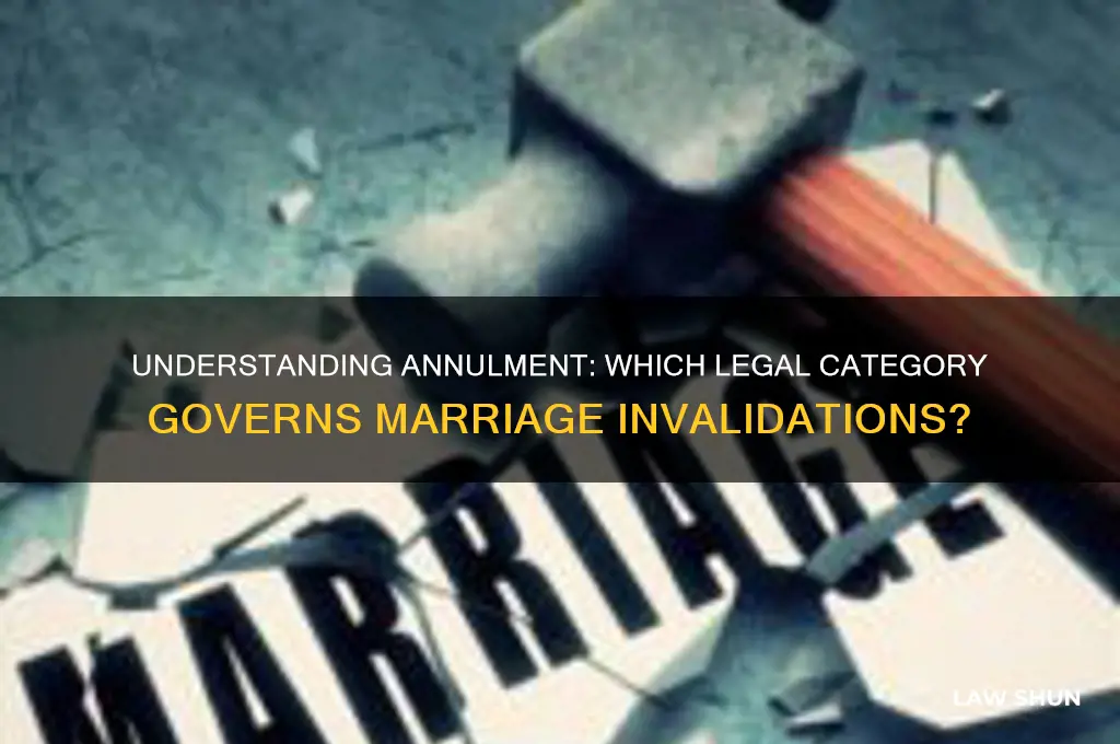 what type of law does annulment