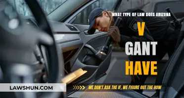 Arizona v. Gant: Understanding the Legal Implications of Vehicle Searches
