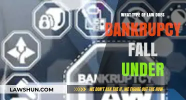 Understanding Bankruptcy Law: Which Legal Category Does It Belong To?