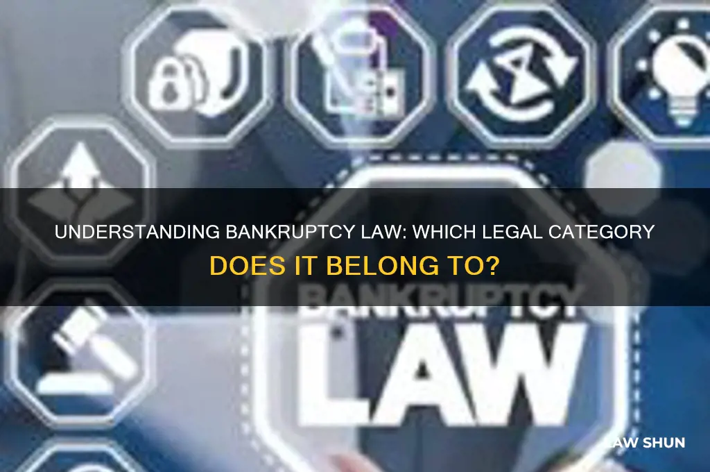 what type of law does bankrupcy fall under