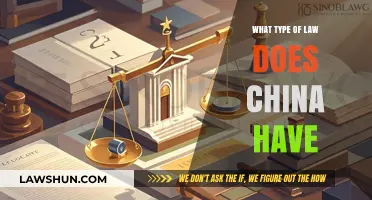Exploring China's Unique Legal System: Civil Law with Socialist Influences