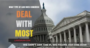 Congress's Primary Focus: The Most Common Legal Areas They Address