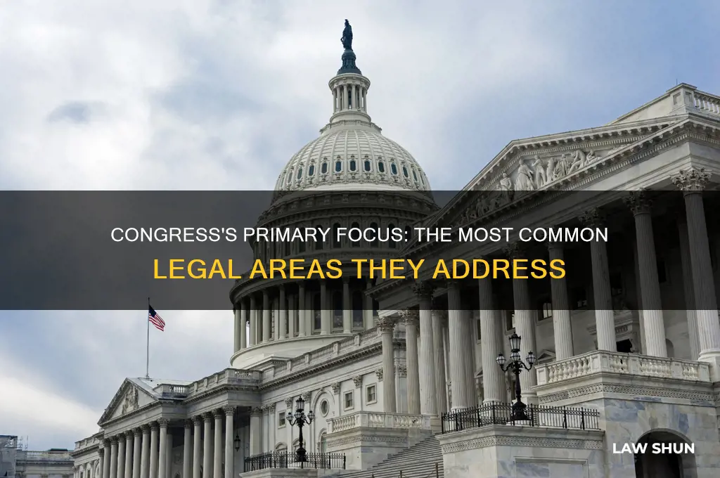 what type of law does congress deal with most