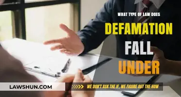 Defamation Law: Understanding Civil Liability and Legal Consequences