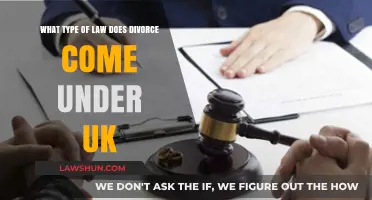 Understanding UK Divorce Law: Family Law Basics and Processes