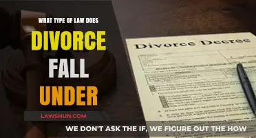 Understanding Divorce Law: Which Legal Category Governs Marital Dissolution?