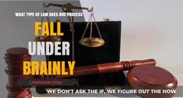Understanding Due Process: Which Legal Category Does It Belong To?