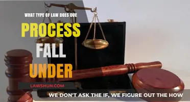 Understanding Due Process: Which Legal Category Does It Belong To?