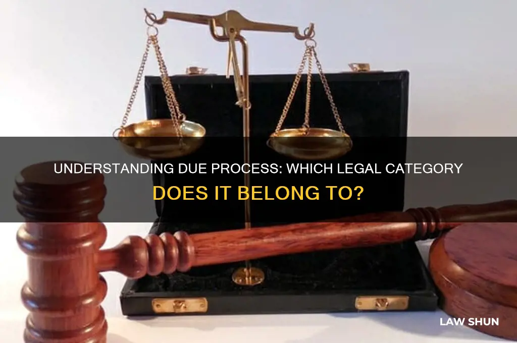 what type of law does due process fall under