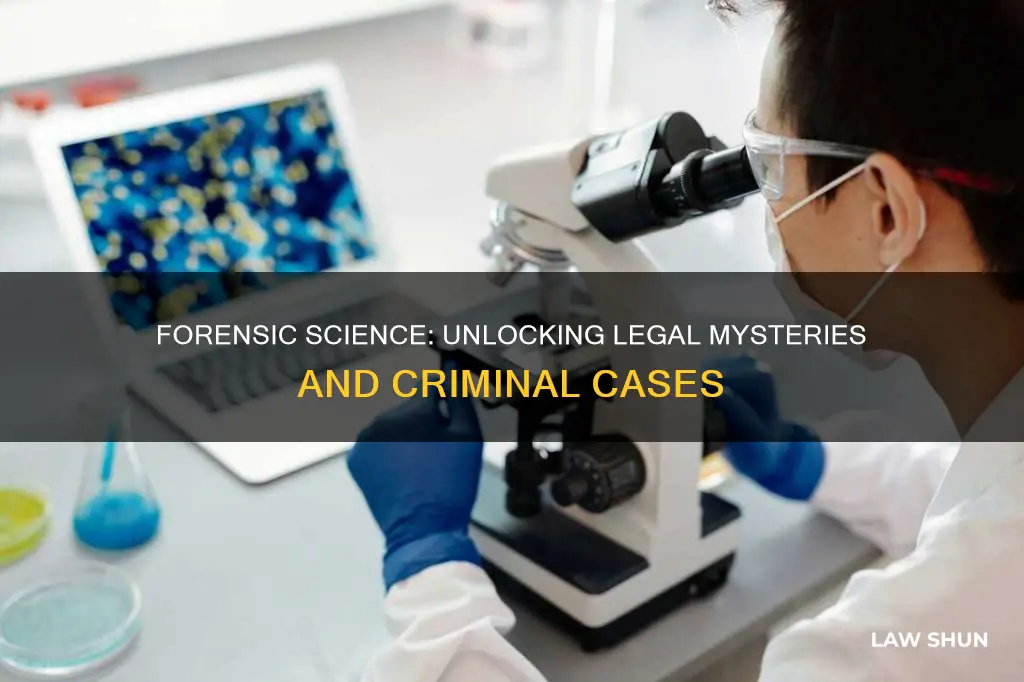 what type of law does forensic science apply to