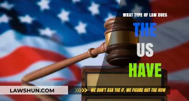 Understanding the US Legal System: Exploring America's Unique Law Types