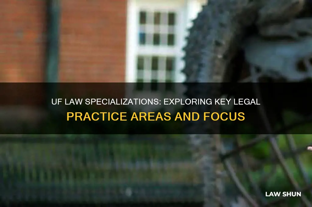 what type of law does uf law specialize in