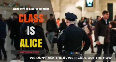 Understanding Alice's Role: Exploring Her Law Enforcement Classification