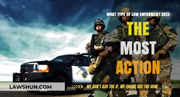 High-Action Law Enforcement: Which Agencies Face the Most Challenges?