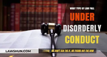 Understanding Disorderly Conduct: Types of Laws and Legal Consequences