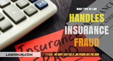 Understanding Insurance Fraud: The Legal Framework and Consequences
