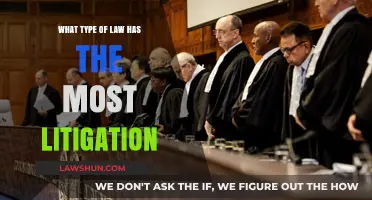 Which Legal Field Dominates Courtrooms: Litigation Trends Revealed