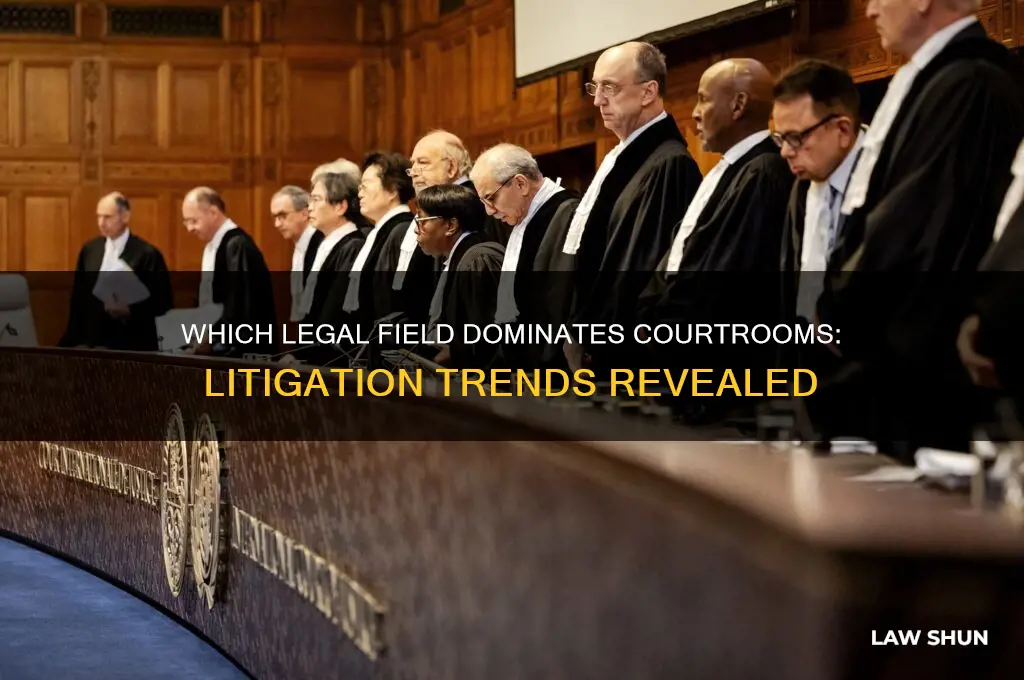 what type of law has the most litigation