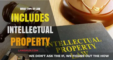 Understanding Intellectual Property Law: Types, Protection, and Legal Frameworks