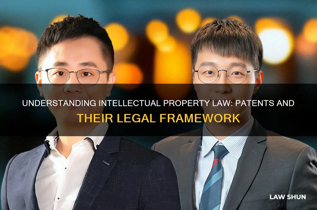 what type of law includes patents