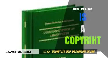 Understanding Copyright Law: A Comprehensive Guide to Intellectual Property Rights