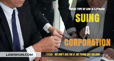 Suing a Corporation: Understanding Civil Litigation and Corporate Law Basics