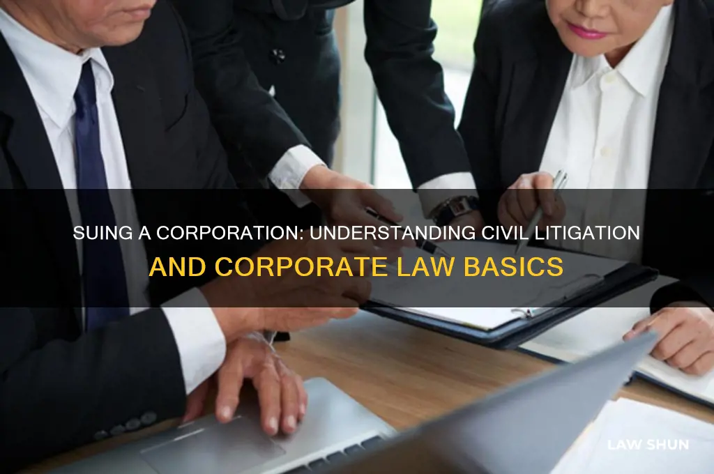what type of law is a person suing a corporation