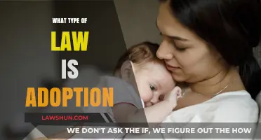 Understanding Adoption Law: Legal Frameworks for Family Building Explained