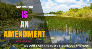 Understanding Amendments: Their Legal Nature and Role in Lawmaking