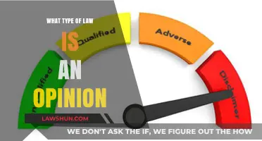 Understanding Legal Opinions: Their Role and Impact in Law