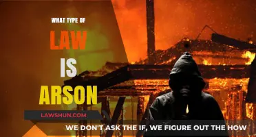 Understanding Arson: Criminal Law Classification and Legal Consequences Explained