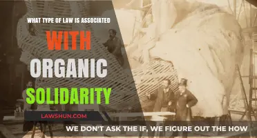 Organic Solidarity and Its Legal Framework: Understanding Social Cohesion Laws