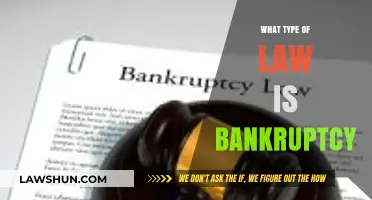Understanding Bankruptcy Law: Types, Process, and Legal Implications Explained