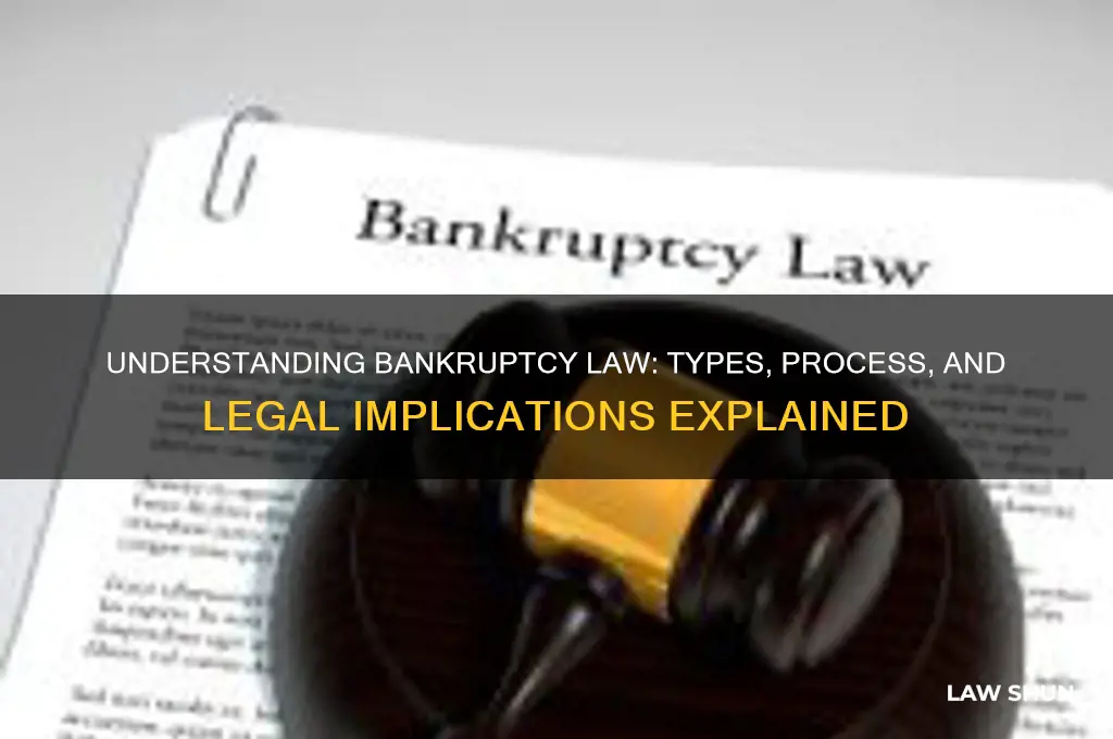 what type of law is bankruptcy