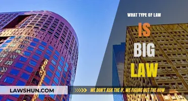 Understanding Big Law: The High-Stakes World of Large Law Firms